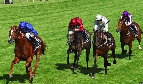 colossus bet|free horse racing tips australia.